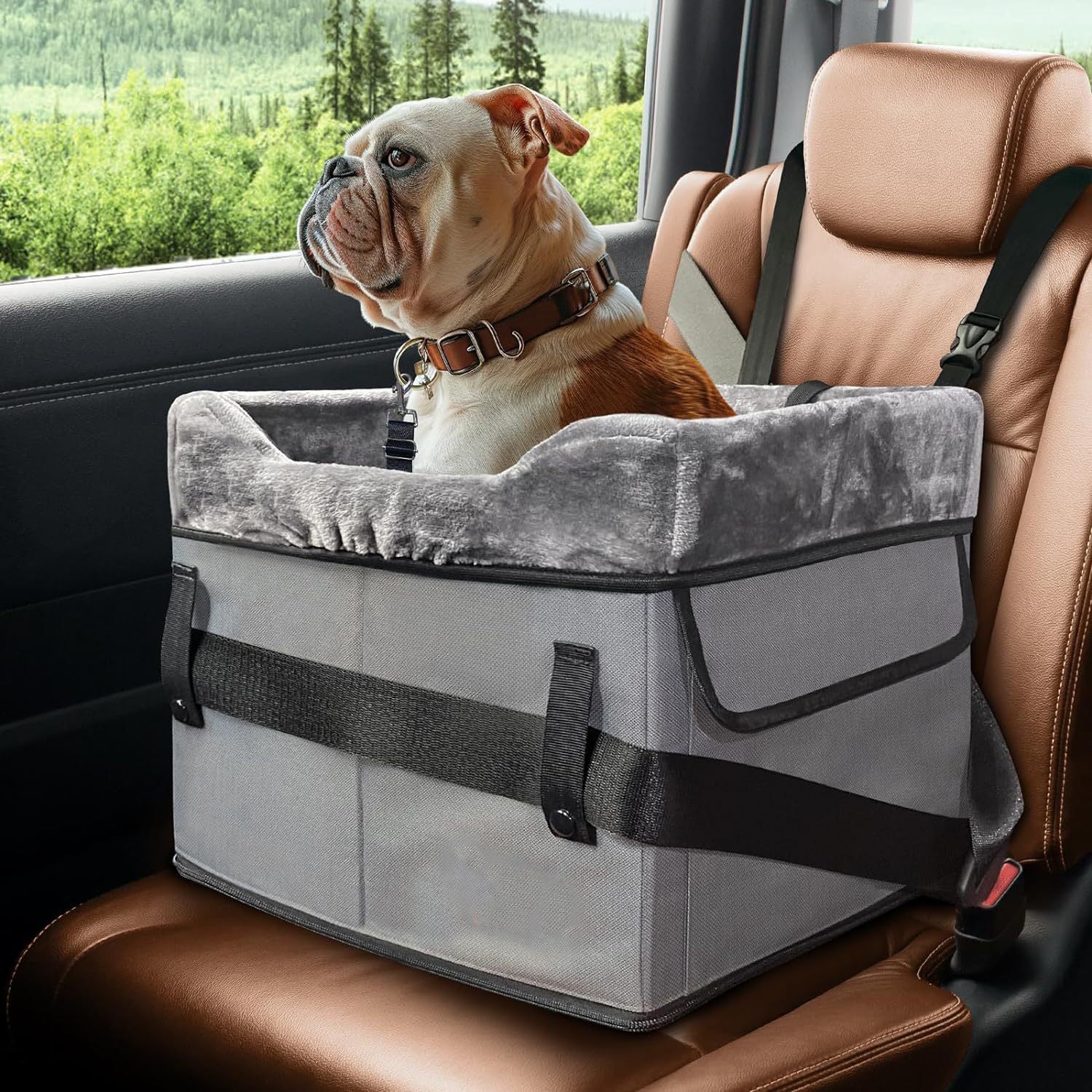 SUPSCH154 Small Dog Car Seat