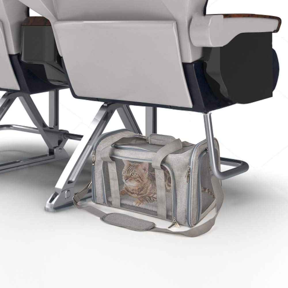 SUPSCH177 Katzen- und Hundetransportbox