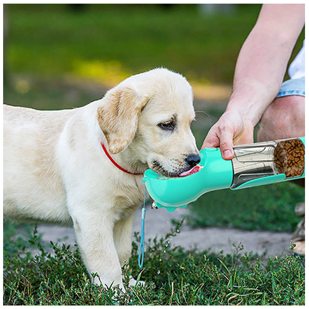 HUPSRC173 Portable 3 In 1 Pet Dog Water Bottle Poop Bag Food Dispenser