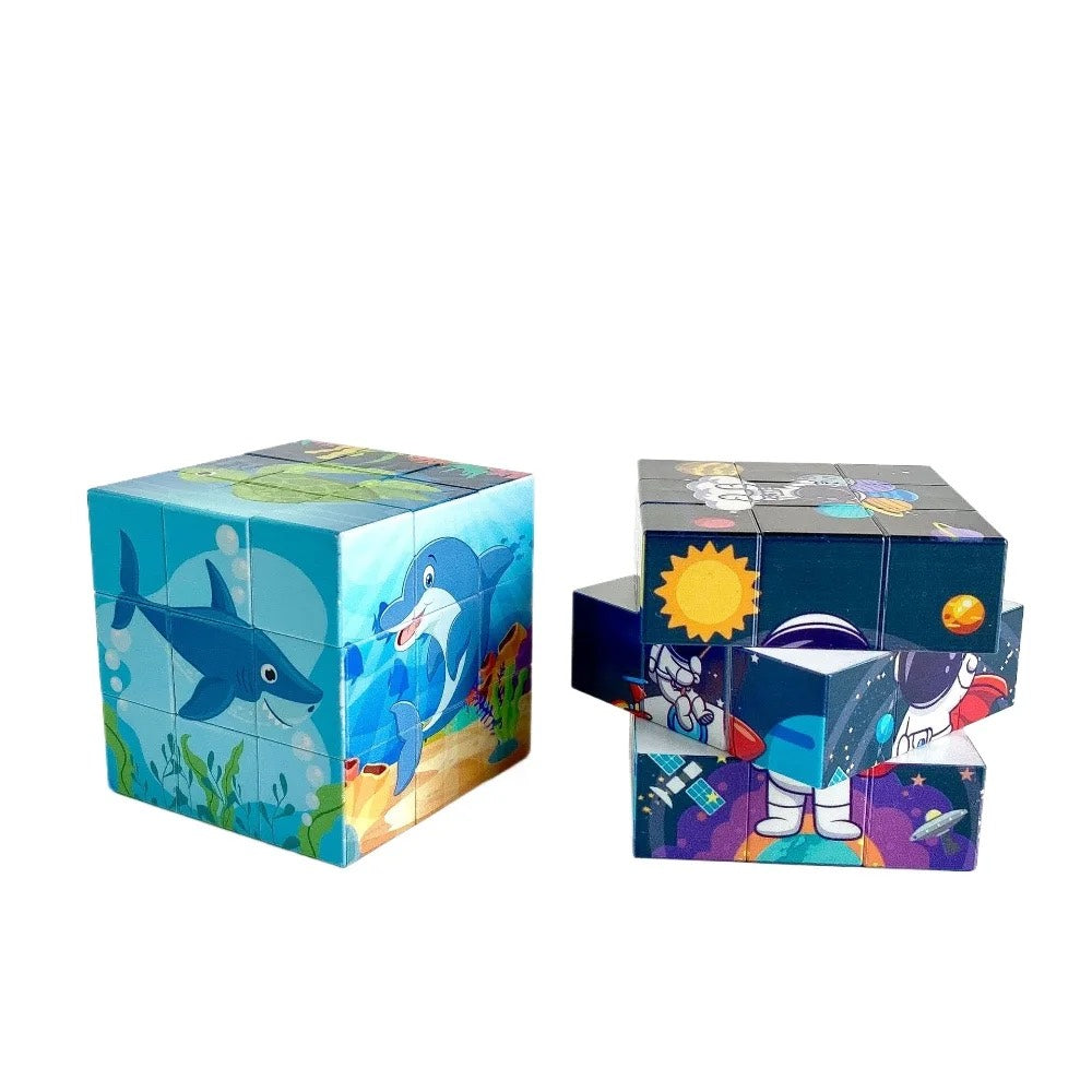 HUPSSY15Rubik Cube