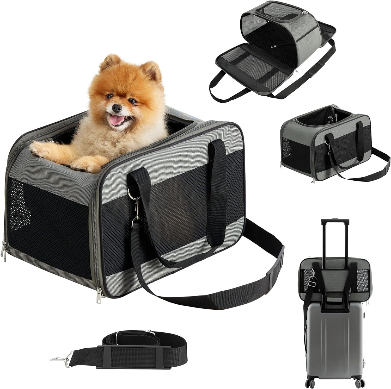 SUPSCH164 Transportbox für Katzen und Hunde