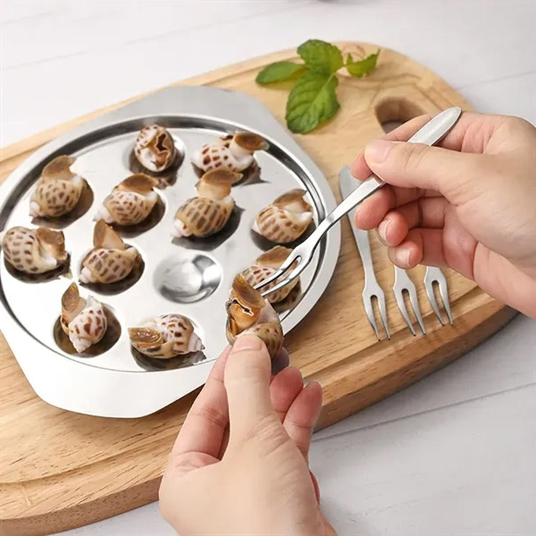 HUPSBY642 Metal Snail Cooking Dish Baking