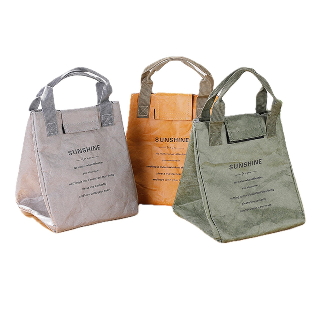 HUPSSY43 Paper Bag Lunch Cooler