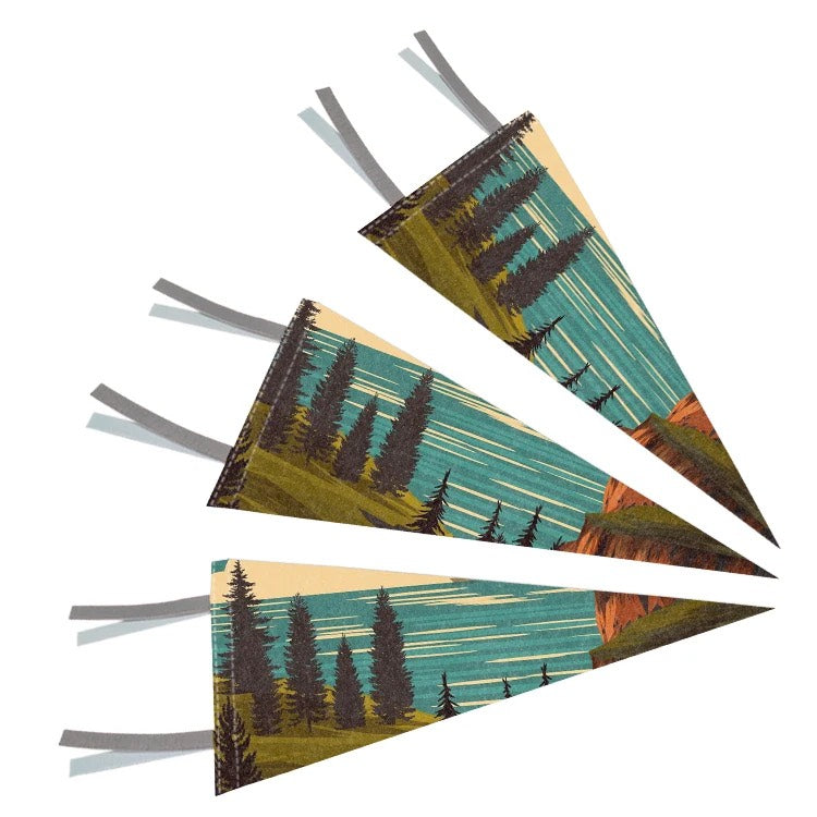 HUPSSY90 9&quot; x 24&quot; Printed Felt Pennant