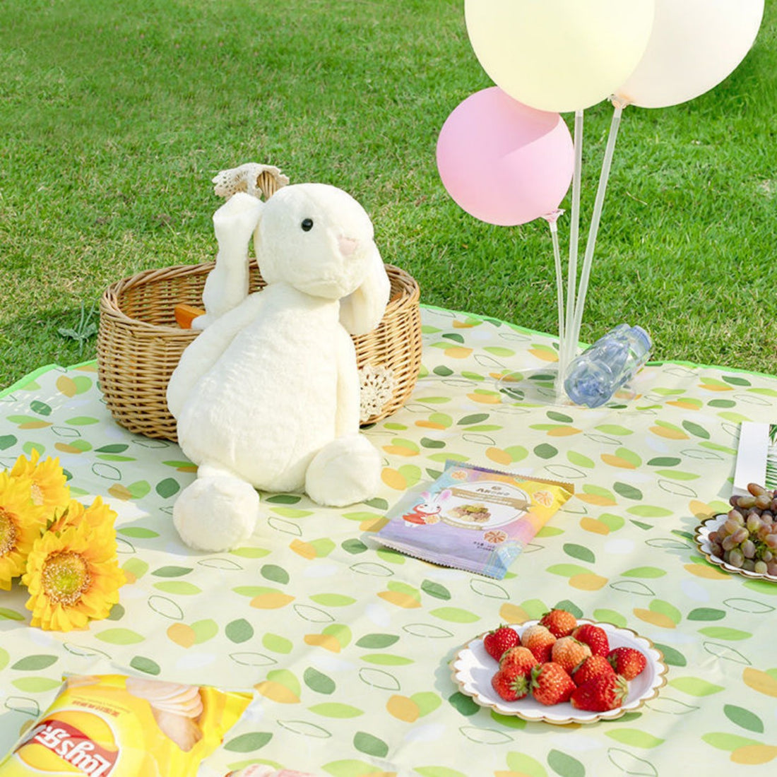 HUPSTL609Versatile Picnic Mat