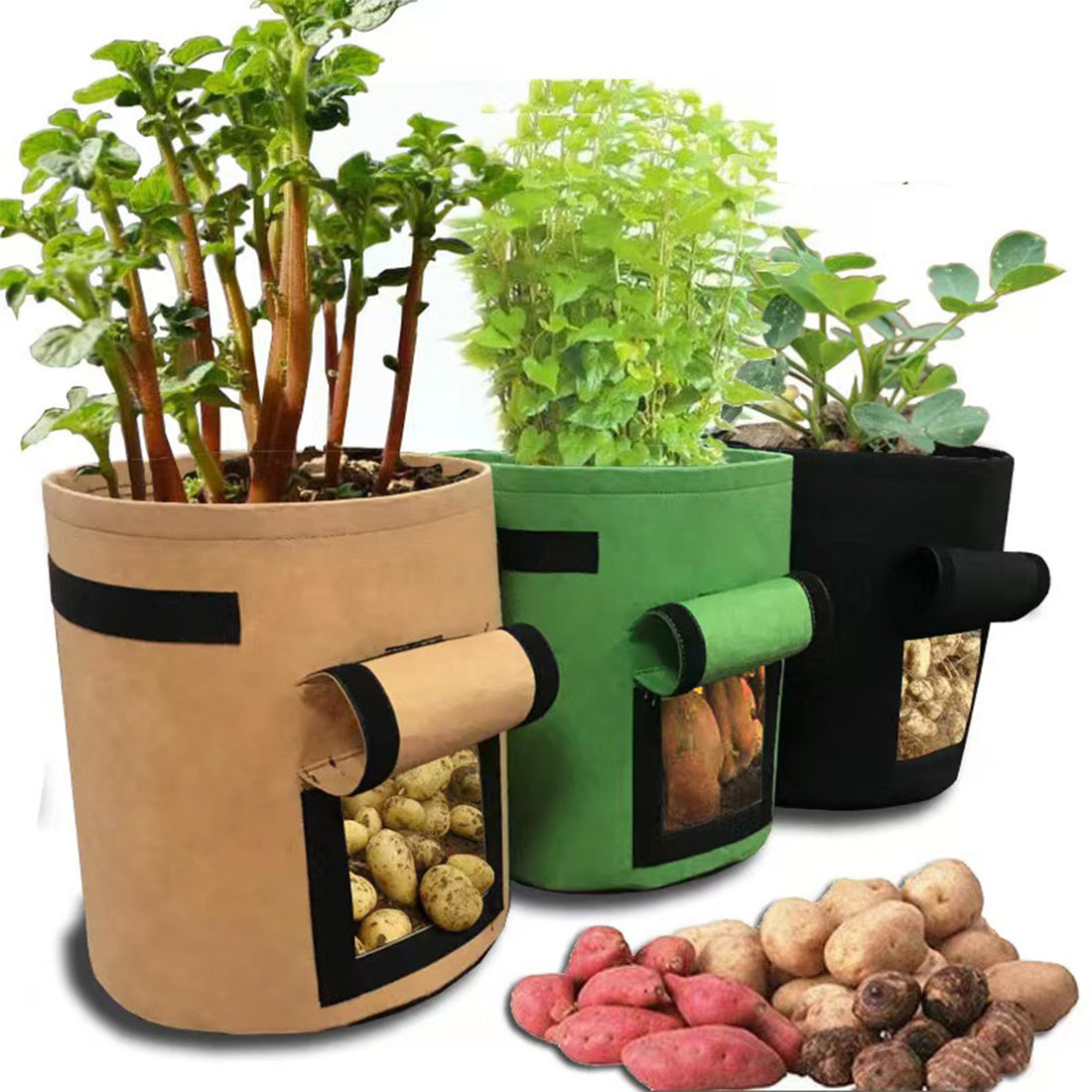 SUPSAS154 Potato Grow Bag with Windows