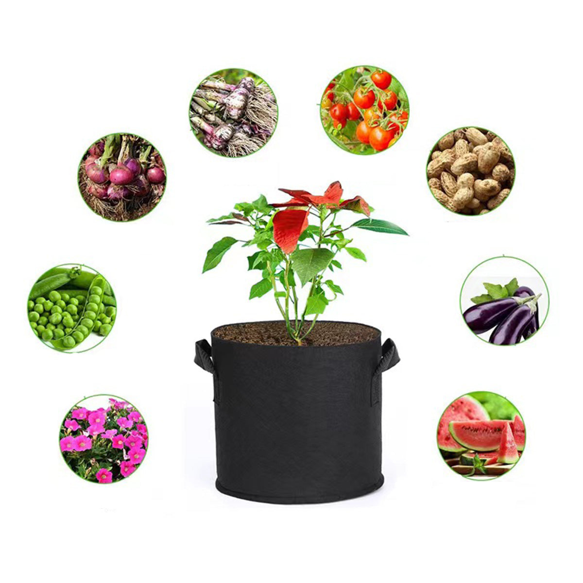 SUPSAS155 7 Gallon Gallon Plant Grow Bags